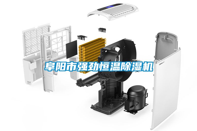 阜陽(yáng)市強(qiáng)勁恒溫除濕機(jī)