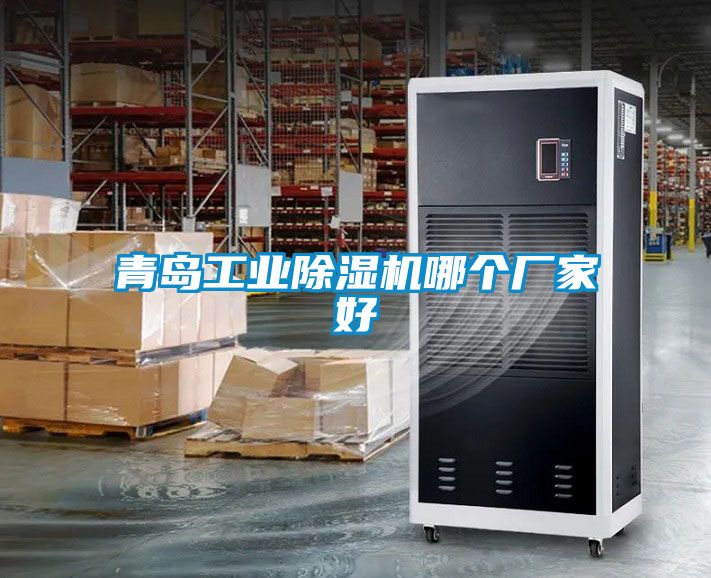 青島工業(yè)除濕機(jī)哪個(gè)廠家好