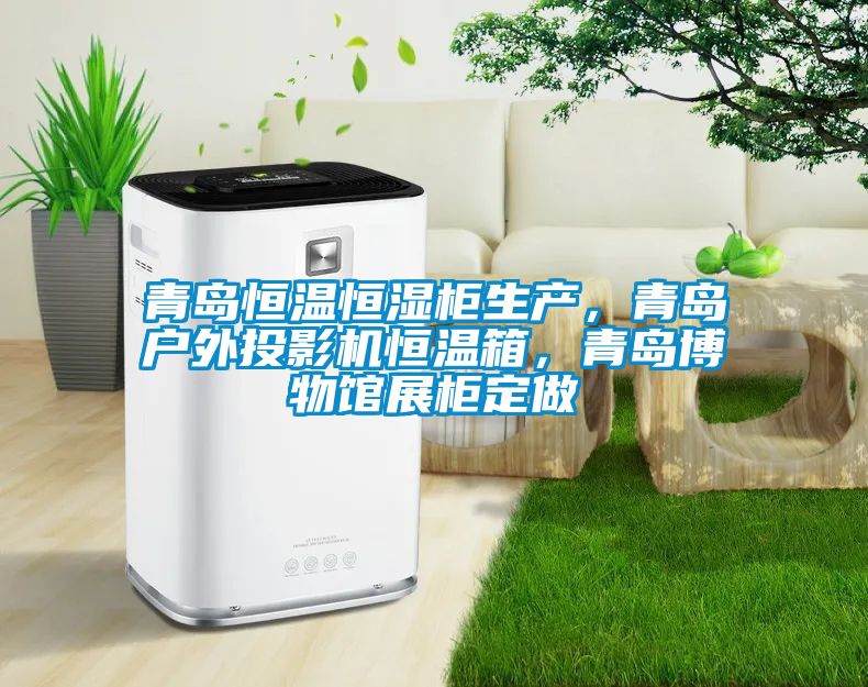 青島恒溫恒濕柜生產(chǎn)，青島戶外投影機(jī)恒溫箱，青島博物館展柜定做