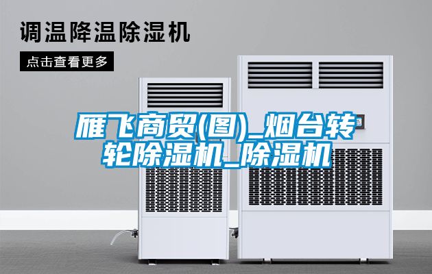雁飛商貿(mào)(圖)_煙臺(tái)轉(zhuǎn)輪除濕機(jī)_除濕機(jī)