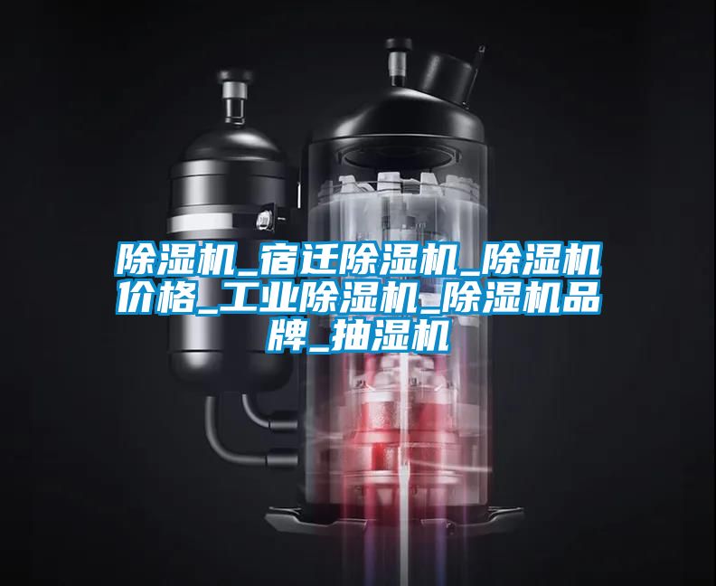 除濕機(jī)_宿遷除濕機(jī)_除濕機(jī)價(jià)格_工業(yè)除濕機(jī)_除濕機(jī)品牌_抽濕機(jī)