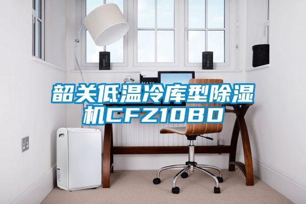 韶關(guān)低溫冷庫型除濕機CFZ10BD