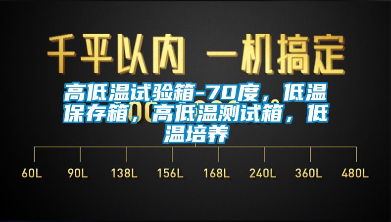 高低溫試驗箱-70度，低溫保存箱，高低溫測試箱，低溫培養(yǎng)