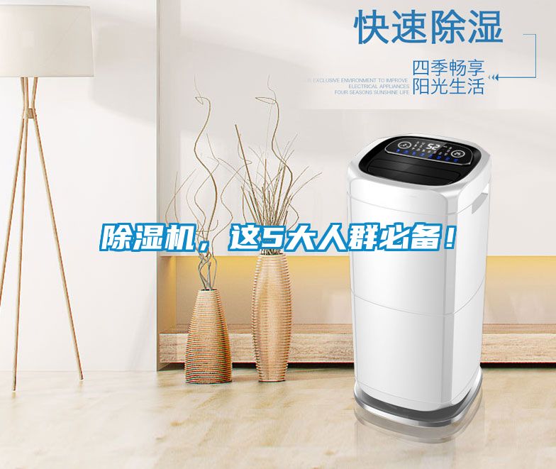 除濕機(jī)，這5大人群必備！