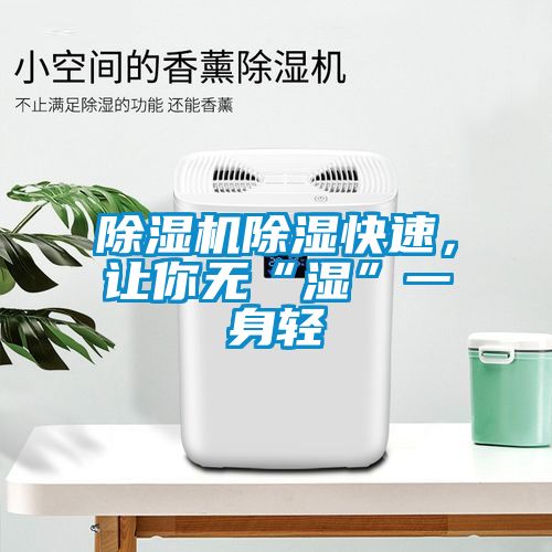 除濕機(jī)除濕快速，讓你無“濕”一身輕