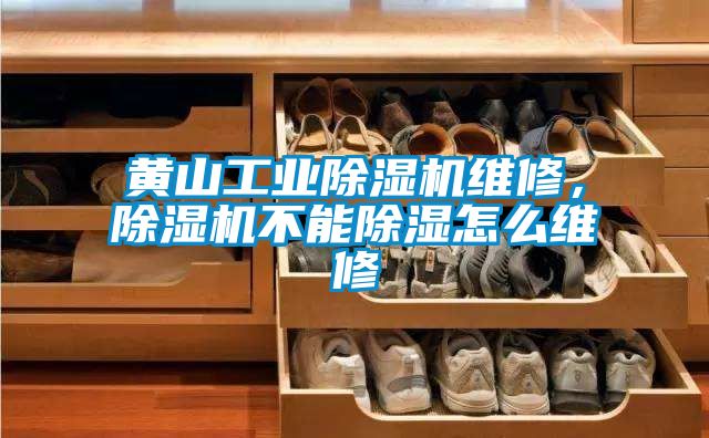 黃山工業(yè)除濕機維修，除濕機不能除濕怎么維修