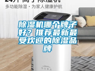 企業新聞除濕機哪個牌子好？推薦最新最受歡迎的除濕品牌