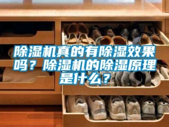 行業新聞除濕機真的有除濕效果嗎？除濕機的除濕原理是什么？