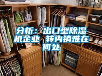 企業(yè)新聞分析：出口型除濕機企業(yè) 轉(zhuǎn)內(nèi)銷難在何處