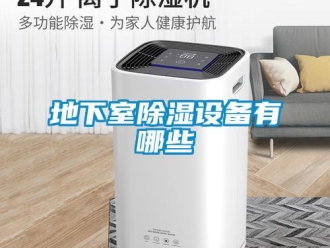 企業(yè)新聞地下室除濕設(shè)備有哪些