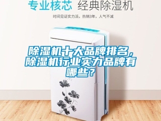 企業(yè)新聞除濕機十大品牌排名，除濕機行業(yè)實力品牌有哪些？
