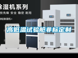 常見問題高低溫試驗艙非標(biāo)定制