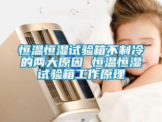 知識百科恒溫恒濕試驗箱不制冷的兩大原因 恒溫恒濕試驗箱工作原理