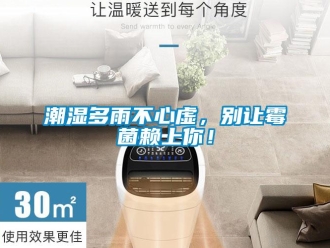 企業新聞潮濕多雨不心虛，別讓霉菌賴上你！