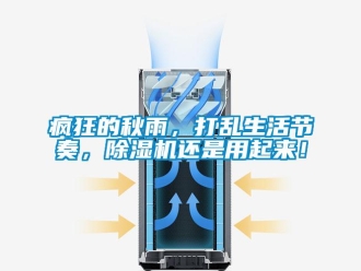 企業新聞瘋狂的秋雨，打亂生活節奏，除濕機還是用起來！