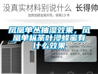 企業(yè)新聞鳳凰單叢抽濕效果，鳳凰單樅荼葉浸蜂蜜有什么效果