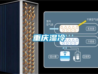 知識(shí)百科重慶濕冷