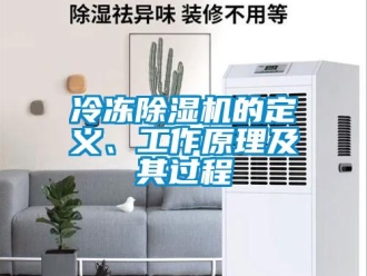 行業新聞冷凍除濕機的定義、工作原理及其過程