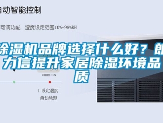 企業新聞除濕機品牌選擇什么好？朗力信提升家居除濕環境品質