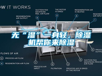 知識百科無“濕”一身輕，除濕機幫你來除濕