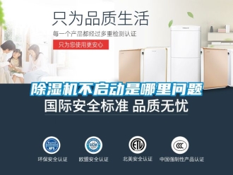 企業(yè)新聞除濕機不啟動是哪里問題