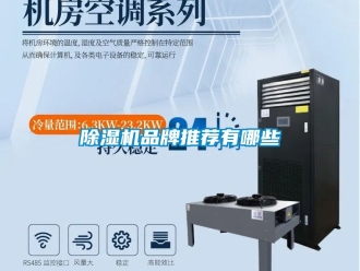 企業新聞除濕機品牌推薦有哪些