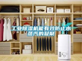 企業(yè)新聞工業(yè)除濕機(jī)能有效防止水蒸汽的凝聚