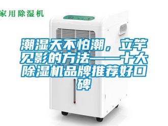 企業新聞潮濕天不怕潮，立竿見影的方法——十大除濕機品牌推薦好口碑