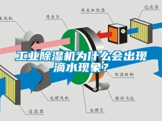 企業新聞工業除濕機為什么會出現滴水現象？