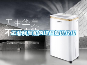 企業(yè)新聞工業(yè)除濕機(jī)的綜合知識(shí)介紹