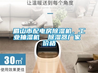 企業(yè)新聞眉山市配電房除濕機(jī)，工業(yè)抽濕機(jī)  除濕器廠家 價(jià)格