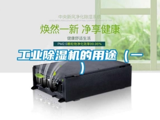 企業(yè)新聞工業(yè)除濕機(jī)的用途（一）