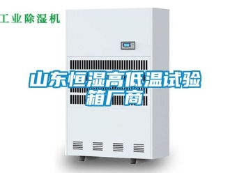 知識百科山東恒濕高低溫試驗(yàn)箱廠商