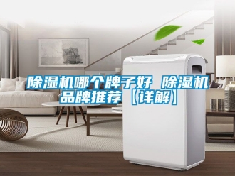 企業(yè)新聞除濕機(jī)哪個牌子好 除濕機(jī)品牌推薦【詳解】