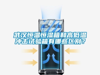 知識百科武漢恒溫恒濕箱和高低溫沖擊試驗箱有哪些區別？