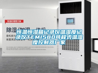 知識(shí)百科恒溫恒濕箱記錄儀溫濕度記錄儀TEMI580可程式溫濕度控制器廠家