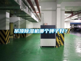 企業(yè)新聞吊頂除濕機(jī)哪個(gè)牌子好？
