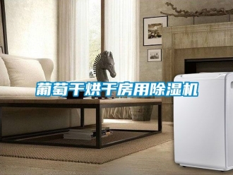 行業新聞葡萄干烘干房用除濕機