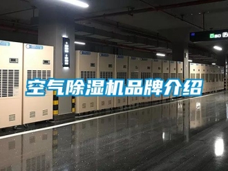 企業新聞空氣除濕機品牌介紹