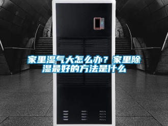 企業新聞家里濕氣大怎么辦？家里除濕最好的方法是什么