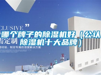 企業(yè)新聞哪個(gè)牌子的除濕機(jī)好（公認(rèn)除濕機(jī)十大品牌）