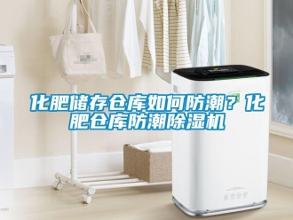 常見問題化肥儲(chǔ)存?zhèn)}庫(kù)如何防潮？化肥倉(cāng)庫(kù)防潮除濕機(jī)