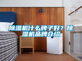 企業(yè)新聞除濕機(jī)什么牌子好？除濕機(jī)品牌介紹