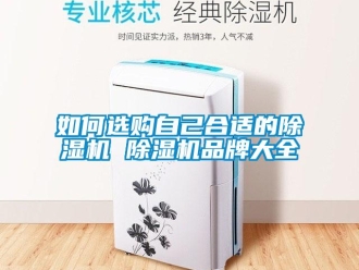 企業新聞如何選購自己合適的除濕機 除濕機品牌大全