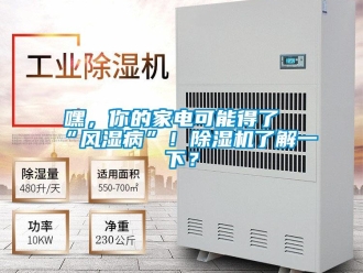 行業新聞嘿，你的家電可能得了“風濕病”！除濕機了解一下？