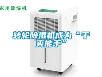 知識百科轉(zhuǎn)輪除濕機成為“干爽能手”