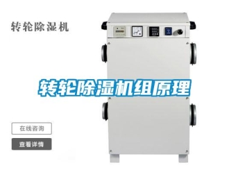 知識(shí)百科轉(zhuǎn)輪除濕機(jī)組原理