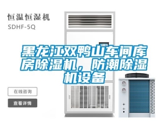 企業新聞黑龍江雙鴨山車間庫房除濕機，防潮除濕機設備