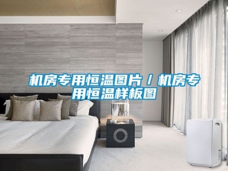 知識(shí)百科機(jī)房專用恒溫圖片／機(jī)房專用恒溫樣板圖