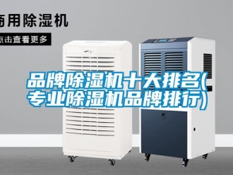 企業新聞品牌除濕機十大排名(專業除濕機品牌排行)